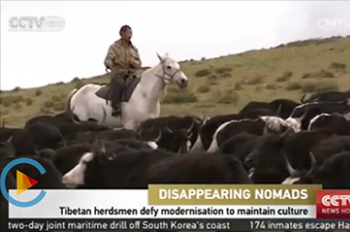 Tibetan herdsmen defy modernisation to maintain culture