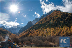 Ganzi Tibetan Autonomous Prefecture in golden season