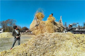 All parts of Tibet accelerating grass switch and storage