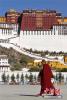 Nov. 11, 2016 -- Photo taken on Nov. 9 in Lhasa, Tibet. The Potala Palace was painted to celebrate the day on which Sakyamuni returns to the human world. That day is Nov. 21, or Sept. 22 on the Tibetan calendar. Buddhists also donated milk and brown sugar as the painting occurred. (Photo: Li Lin/China News Services)