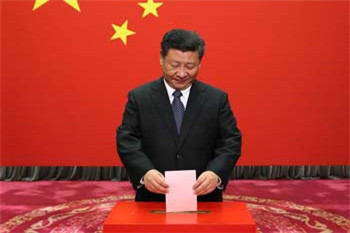 Xi casts vote as local legislative elections begin