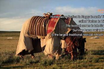 《Tibet Short Documentaries》——Horse Racing Festival in Summer