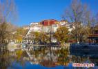 Nov. 24, 2016 -- Photo taken on Nov. 19, 2016 shows the winter scenery of Potala Palace in Lhasa, capital of southwest China`s Tibet Autonomous Region. Known as an ancient palace at high elevation, the Potala Palace was inscribed onto the world cultural heritage list in 1994.[China.org.cn/Photo by Han Jiajun]