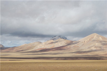 Tibet takes steps to contain grassland degradation
