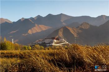 Scenery of Lalu Wetland in Tibet