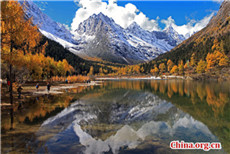 Scenery of Bipenggou Valley in China's Sichuan