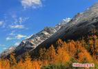 Dec. 28, 2016 -- Bipenggou is famous for primitive forests, lakes, waterfalls, glaciers and azaleas. Located in Li county, Aba Tibetan and Qiang autonomous prefecture of Sichuan province, the valley is blessed with primrose flowers, azalea, and red woods. It is also consider one of the best places to see fall foliage in China.[China.org.cn/Photo by You Bing]