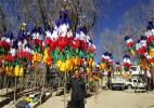 Feb. 14, 2017 -- A Tibetan was carrying prayer flag trees, which symbolize auspiciousness and good fortune.