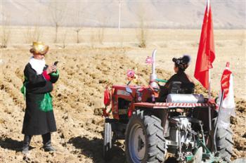 Village in Tibet holds spring ploughing ceremony