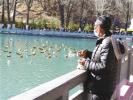 May 10,2017--A man is feeding wild ducks in the Dzongyab Lukhang Park, Lhasa City, Tibet Autonomous Region. [Photo/China Tibet News]