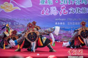 Tibetan border town holds first Rhododendron cultural tourism festival