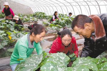 Yadong County develops characteristic industries