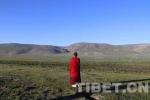 Aug.3,2017--On the morning of July 19, by the Rongbo beach 80 kilometers northwest of Yushu, Qinghai Province, the 11th Panchen Lama Bainqen Erdini Qoigyijabu dressed up in burgundy monk robe stepped onto the green meadow in high spirits, followed by several monks.