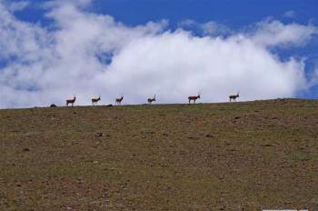 China's 2nd scientific expedition to Qinghai-Tibet Plateau