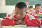 Aug.14,2017--A primary school student focuses on reading a book. [Photo/chinadaily.com.cn]