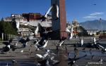 Oct. 8, 2017 -- The Potala Palace is see in the photo taken on Oct. 5, 2017 in the heart of Lhasa, capital of southwest China`s Tibet Autonomous Region. (Xinhua/Chogo)
