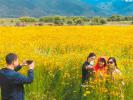 Oct. 23, 2017 -- Tourists are taking photos in the sea of flowers in Nianglong Village. [China Tibet News/Pan Lu]
