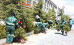 Oct.27,2017--Gardeners of Lhasa City are planting trees on both sides of the road. [Photo/China Tibet News]