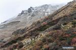 Nov. 3, 2017 -- Photo taken on Oct. 28, 2017 shows the scenery of Yumai Town, southwest China`s Tibet Autonomous Region. Yumai, China`s smallest town in terms of population, sits at the southern foot of the Himalayas, where steep slopes and rugged paths make it difficult to access. (Xinhua/Purbu Zhaxi)