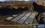 Nov.9,2017-- Photo shows greenhouses of the vegetable planting cooperative of Xiemai Village in Xexung Town, Dengqen County, Chamdo City, Tibet Autonomous Region. [Photo/Xinhua]