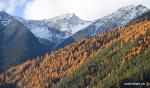 Nov. 20, 2017 -- Photo taken on Nov. 10, 2017 shows the scenery of the forests and snow-covered mountain in Nyingchi, southwest China`s Tibet Autonomous Region. (Xinhua/Purbu Zhaxi)