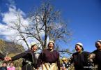 Nov. 21, 2017 -- Villagers pray for harvest in the farmland of Puqu Township in Nyingchi, southwest China`s Tibet Autonomous Region, Nov. 19, 2017. Sunday is the first day of the Kongpo New Year in the Nyingchi area according to the Tibetan calendar. In observing New Year customs, locals would clean their homes, dress up in festive clothes, set off fireworks and have fun. (Xinhua/Jigme Dorje)