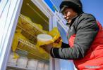 Nov. 27, 2017 -- A salesman sorts out dairy products at a livestock products fair in Nagqu of southwest China`s Tibet Autonomous Region, Nov. 24, 2017. Local authority organized the three-day winter fair by the side of Qinghai-Tibet highway, to increase income for the herdsmen. (Xinhua/Liu Dongjun)
