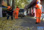 Nov. 29, 2017 -- Sanitation workers are cleaning fallen leaves together with sanitation vehicles in Lhasa City. [Photo/Xinhua]