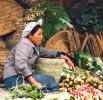 Dec. 12, 2017 -- Vegetable stall holder Zhongdian 1995. [Photo by Bruce Connolly/chinadaily.com.cn]