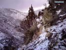 Dec.19,2017--Photo taken by infrared camera on Nov. 14, 2017 shows a baby snow leopard with its mother in the Nujiang River valley in Changdu, southwest China`s Tibet Autonomous Region. Images of snow leopards were caught for the first time in eastern parts of southwest China`s Tibet Autonomous Region. Snow leopards are a Class A protected animal in China and are classified as `endangered` by the International Union for Conservation of Nature. (Xinhua)