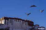 Dec. 26, 2017 -- Bar-headed geese fly over Dragon King Pool park in Lhasa, southwest China`s Tibet Autonomous Region, Dec. 25, 2017. The park is home to several species of migratory birds that come here during the winters. (Xinhua/Liu Dongjun)