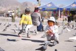 Jan. 3, 2018 -- Children are feeding pigeons at the Potala Palace Square. [China Tibet News/Li Zhou]