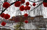 Feb. 13, 2018 -- Decorations are hung from trees in front of the Potala Palace in Lhasa, capital of southwest China`s Tibet Autonomous Region, Feb. 12, 2018, to greet the Spring Festival and Tibetan New Year. (Xinhua/Chogo)