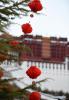 Feb. 13, 2018 -- Decorations are hung from a tree in front of the Potala Palace in Lhasa, capital of southwest China`s Tibet Autonomous Region, Feb. 12, 2018, to greet the Spring Festival and Tibetan New Year. (Xinhua/Chogo)
