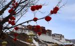 Feb. 13, 2018 -- Decorations are hung from a tree in front of the Potala Palace in Lhasa, capital of southwest China`s Tibet Autonomous Region, Feb. 12, 2018, to greet the Spring Festival and Tibetan New Year. (Xinhua/Chogo)