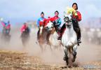 Feb.27,2018--Players perform on horseback in an equestrian event in Jiangjiao Village of Lhasa, capital of southwest China`s Tibet Autonomous Region, Feb. 25, 2018. (Xinhua/Chogo)