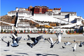 Early spring scenery in Lhasa, SW China’s Tibet