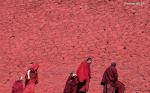 Mar. 12, 2018 -- Monks walk past the scripture hall of Gandan Temple in Lhasa, capital of southwest China`s Tibet Autonomous Region, March 9, 2018. Founded in 1409 by followers of Zong Kaba, founder of the Yellow Sect of Tibetan Buddhism, the Gandan Temple is the oldest among lamaseries of the Yellow Sect.(Xinhua/Chogo)