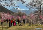Mar. 29, 2018 -- Tourists view peach blossoms at the Gala peach blossom scenic area in the Baiyi District of Nyingchi, southwest China`s Tibet Autonomous Region, March 27, 2018. (Xinhua/Zhang Rufeng)