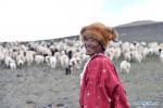 June 21, 2018 -- Rigzin, 49, smiles while grazing a flock of sheep in Rungma Township of Nyima County, southwest China`s Tibet Autonomous Region, June 14, 2018. Rigzin and his family are to be relocated to a new home in Lhasa. (TO GO WITH Xinhua Headlines: Relocation changing lives on Tibetan plateau) (Xinhua/Chogo)