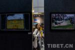 July 13,2018--The opening ceremony of a photo exhibition of artists from China`s autonomous region for ethnic minorities was held on July 2nd at the Art Center of the China`s Tibet Autonomous Region.
