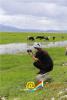 July 22,2018--An international student takes photos at the Napahai Wetland in southwestern China`s Yunnan province on July 19, 2018. [Photo/yunnangateway.com] 
