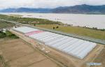 July 25,2018--Aerial photo taken on July 23, 2018 shows an agricultural and husbandry demonstration base in Zhanang County of Shannan City, southwest China`s Tibet Autonomous Region. The local government has taken great effort to bid for investment on green industry to boost local economy. Fueled by well-established enterprises, about 2,800 residents of 720 households realized a total income growth of 15 million yuan (about 2.2 million U.S. dollars) in 2017. (Xinhua/Liu Dongjun)
