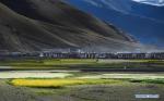 Aug.2,2018--Photo taken on July 27, 2018 shows the morning scenery of a village in Kangmar County in Xigaze, southwest China`s Tibet Autonomous Region. (Xinhua/Li He)