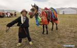 Aug. 8, 2018 -- A boy pulls a horse at Rima Village in Gerze County of Ali, southwest China`s Tibet Autonomous Region, Aug. 6, 2018. Herdsmen ride and race horses to celebrate after harvesting cashmere. (Xinhua/Cai Yunfeng)