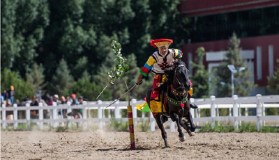 Horsemanship stunts celebrate Yogurt Festival in Tibet