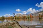Sept. 10, 2018 -- A tourist takes photos of the autumn scenery by the Yarlung Zangbo River in southwest China`s Tibet Autonomous Region, Sept. 7, 2018. (Xinhua/Purbu Zhaxi)