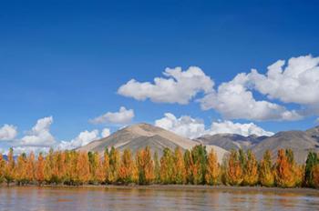 Autumn scenery along Yarlung Zangbo River in SW China’s Tibet