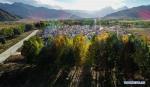 Oct. 8, 2018 -- Aerial photo taken on Oct. 2, 2018 shows the autumn scenery of a village near the Yarlung Zangbo River in southwest China`s Tibet Autonomous Region. (Xinhua/Liu Dongjun) 