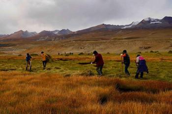 Farmers mow forage grass on pasture in SW China’s Tibet